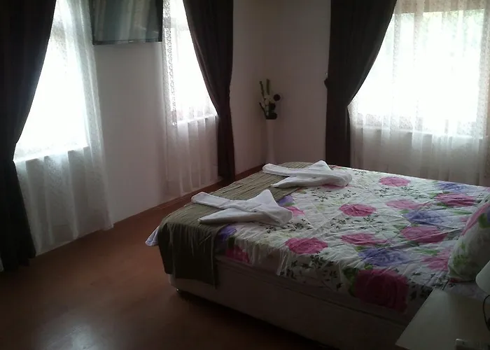 Mete 3* Бозбурун